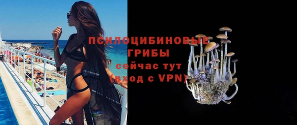 гидропоника Белокуриха
