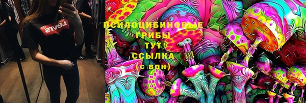 скорость Богданович