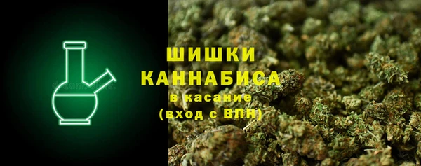 гидропоника Белокуриха