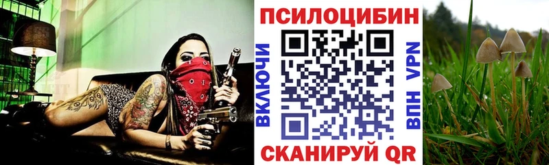 площадка состав  цены наркотик  Великий Устюг  Галлюциногенные грибы GOLDEN TEACHER  mega как войти 